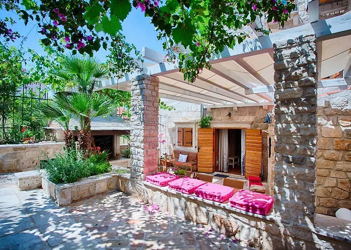 Alma Island Vis *