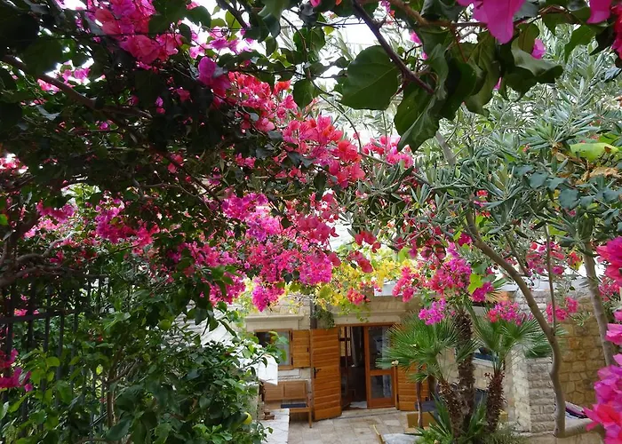 Villa Alma Island Vis Komiža