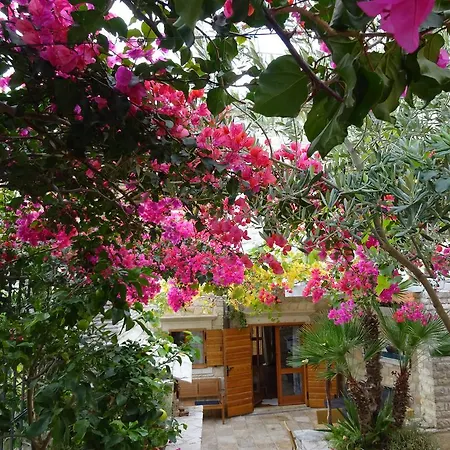 Villa Alma Island Vis Komiža