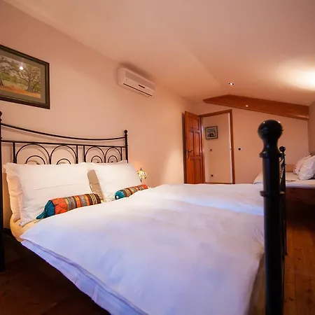 Alma Island Vis Vila *