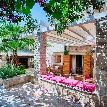 Alma Island Vis *